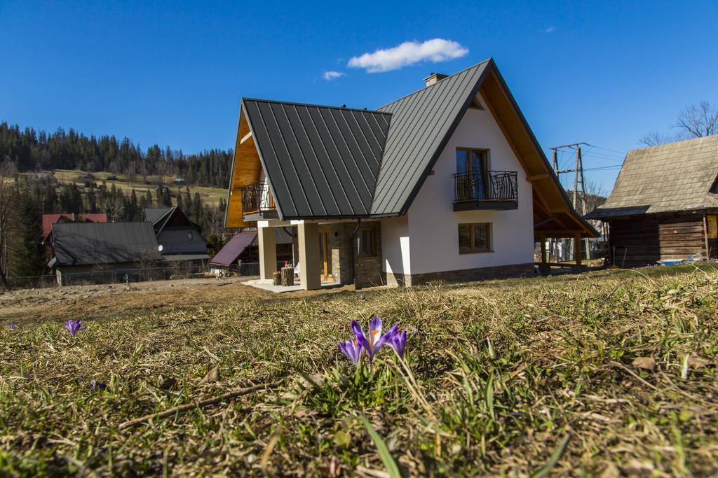 Willa Pod Wierzbami Poronin Kültér fotó